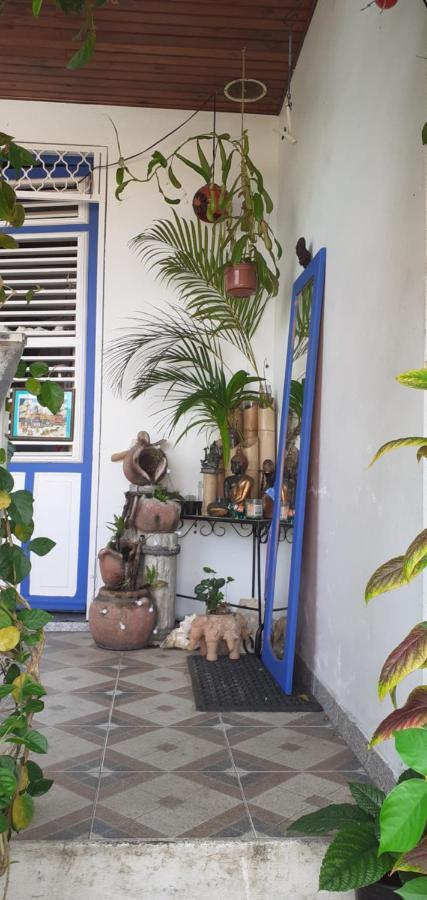 Chambre D'Hote La Calebasse 생트안느 외부 사진